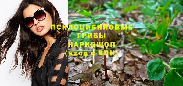 молекула духа Абинск