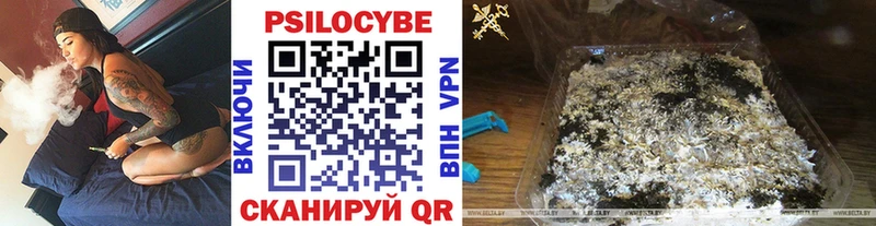 где можно купить   Барыш  Псилоцибиновые грибы ЛСД 